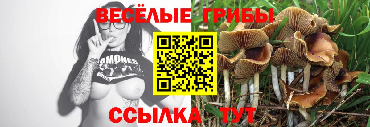 Галлюциногенные грибы Psilocybe  Вход с VPN  наркота  Волжский  Псилоцибиновые грибы MAGIC MUSHROOMS 
