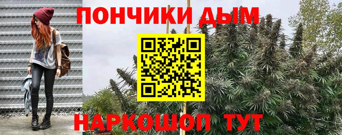 МАРИХУАНА семена  Бошки Шишки сатива  Канабис сатива  Волжский  Вход с VPN 